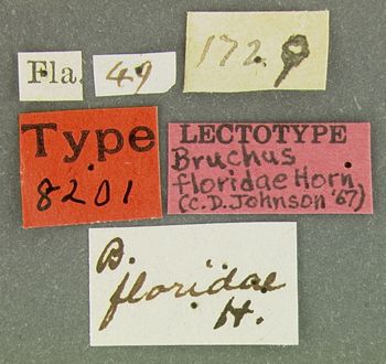 Media type: image;   Entomology 8201 Aspect: labels